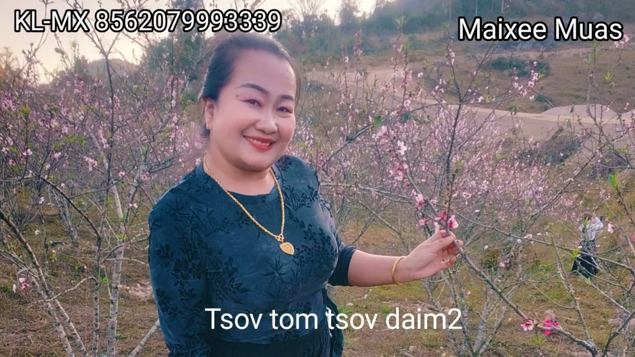 Tsov tom tsov daim2.  2/7/2026