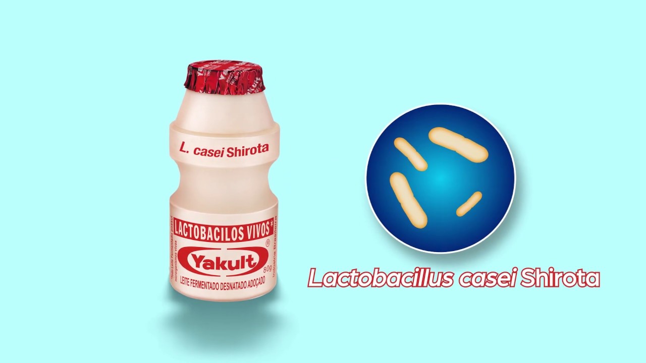 Processo de produ&ccedil;&atilde;o do Leite Fermentado da Yakult