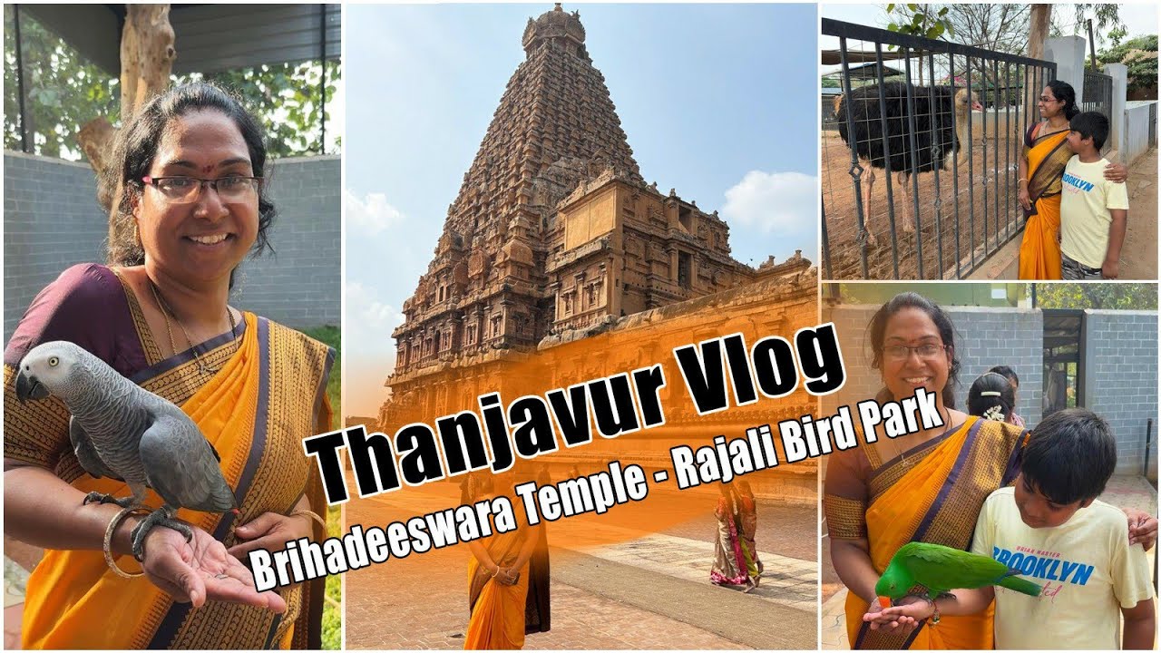 Tanjore Brihadeeshwara Temple || Rajali Birds Park || Tanjavur Tourist Places #tanjavur #tanjore
