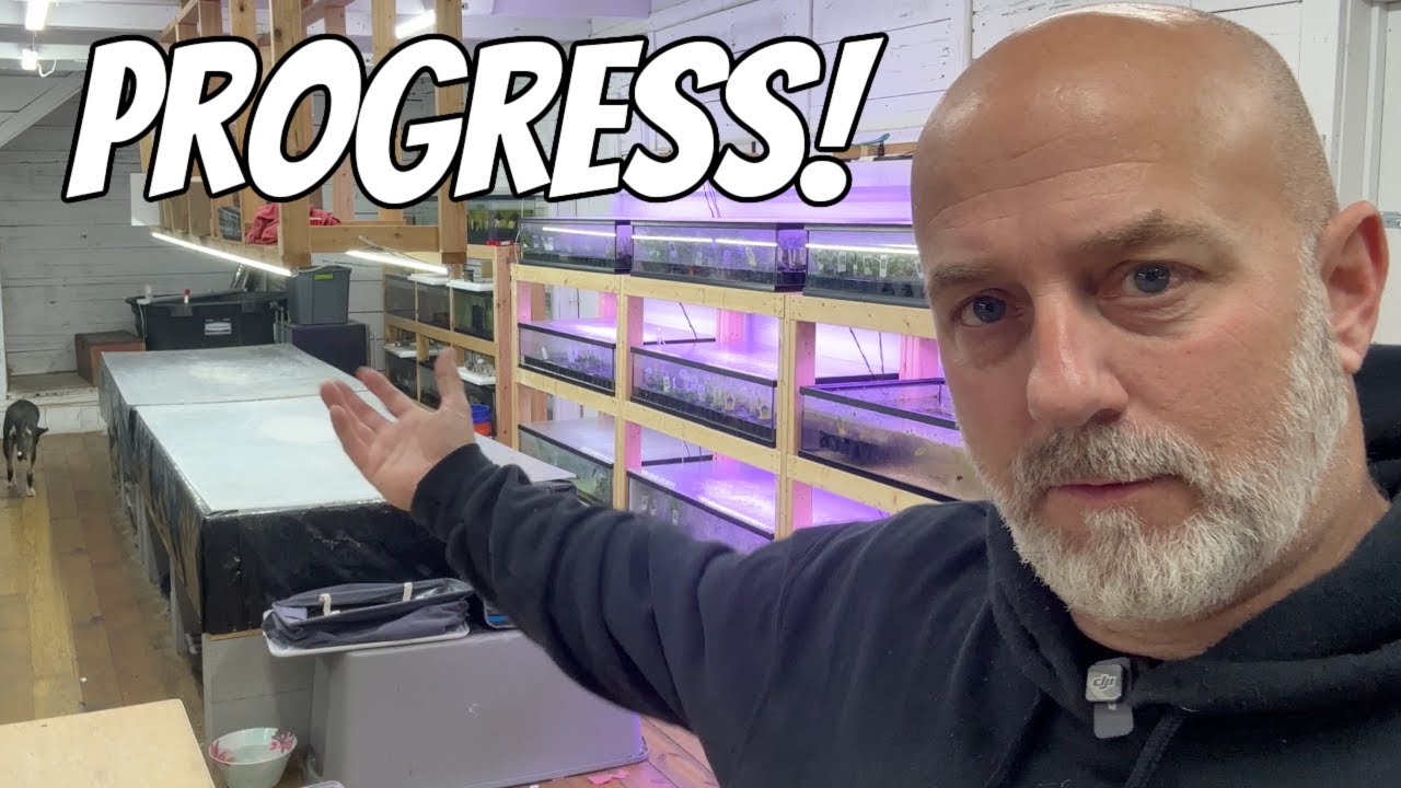 Building A Fish Room, Nothing Can Be Easy