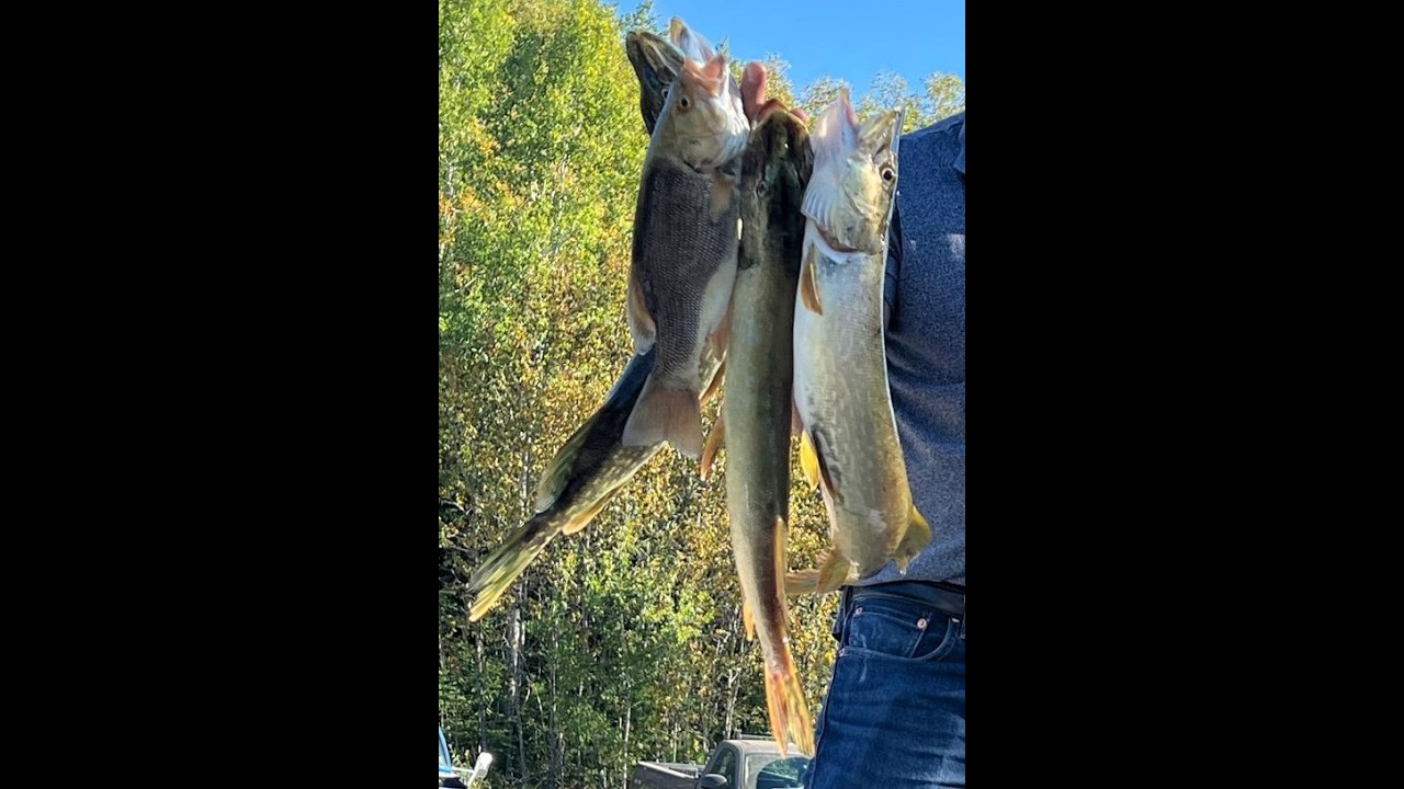 Season end🎣🐟🎣 2024