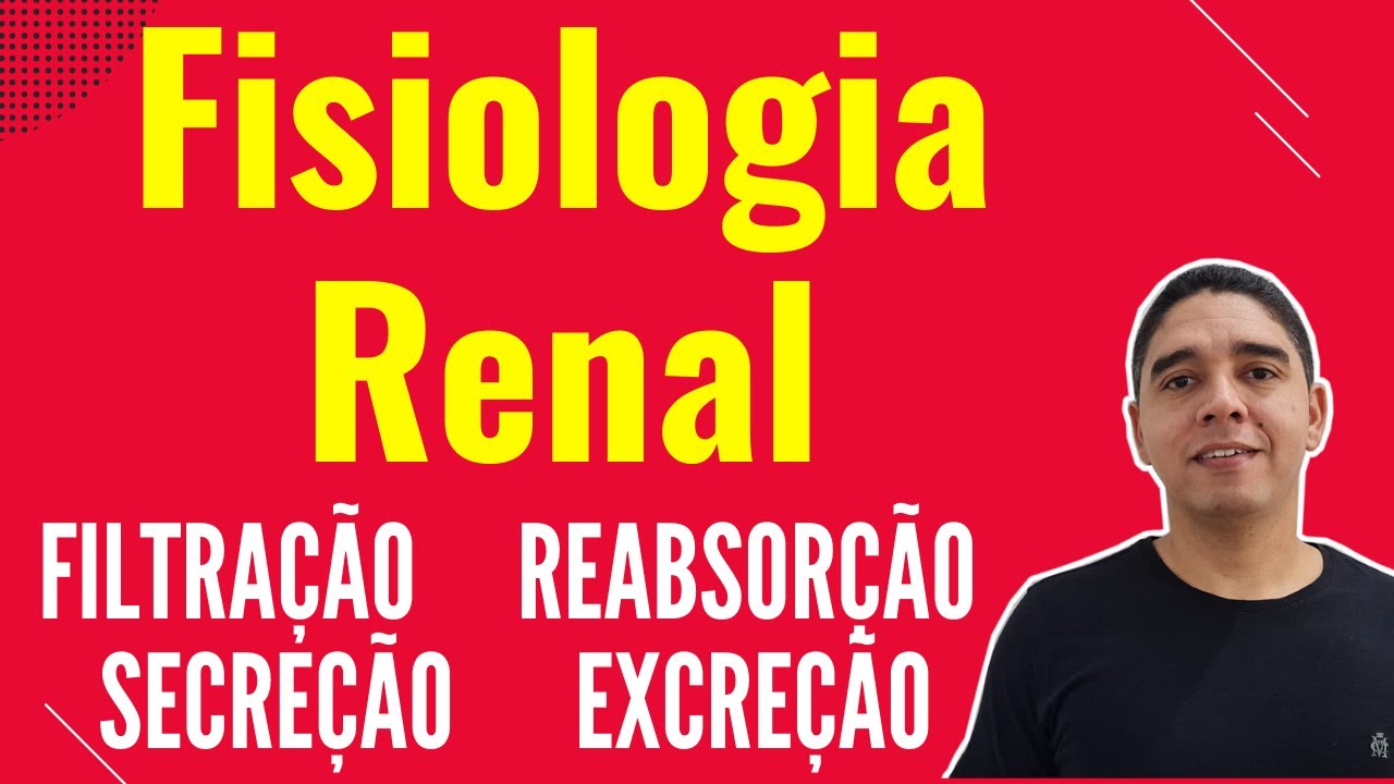 Fisiologia Renal: Filtração, Reabsorção, Secreção e Excreção [néfron]