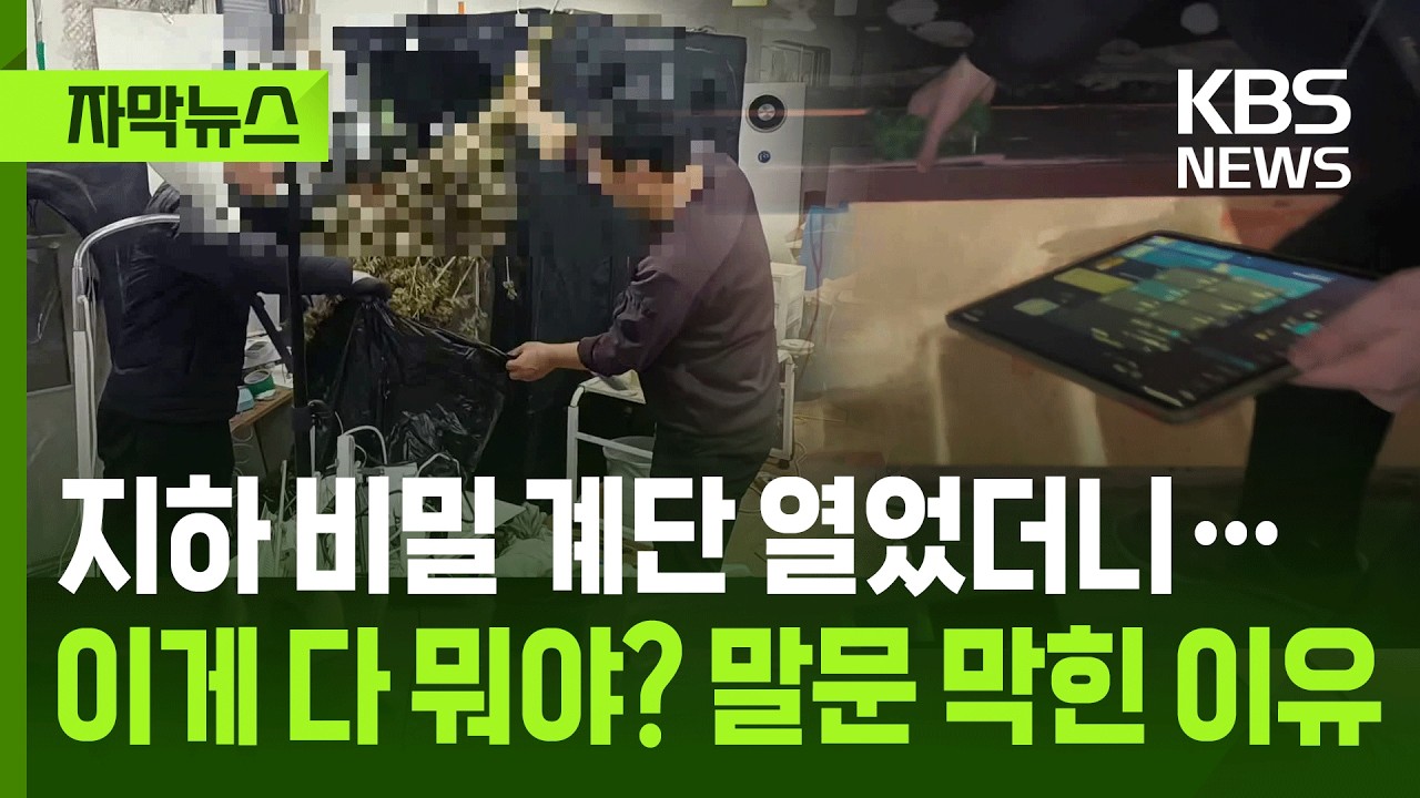 [자막뉴스] 지하 비밀 계단 열었더니…이게 다 뭐야? 말문 막힌 이유 / KBS 2026.03.04.