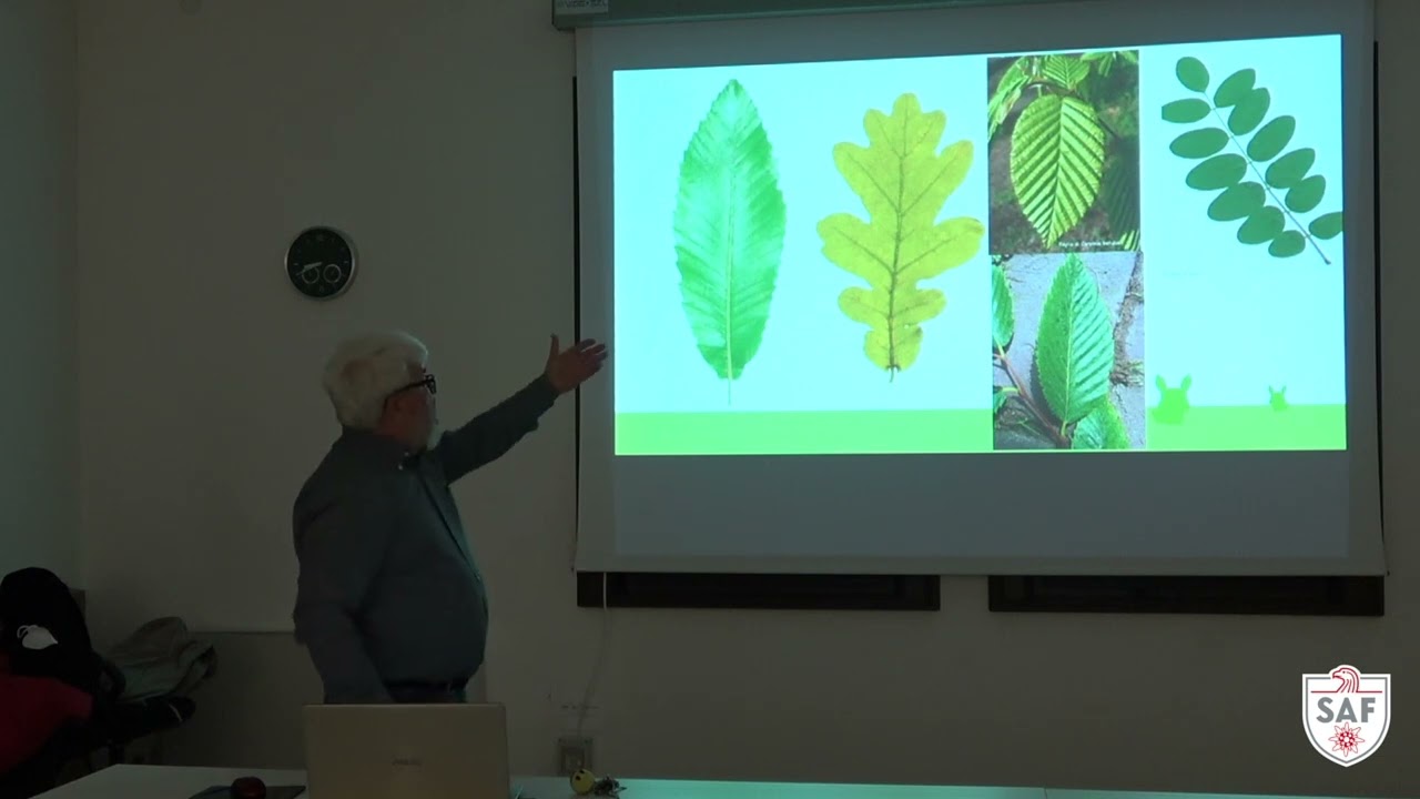 Corso sorprendenti piante del FVG - sera3