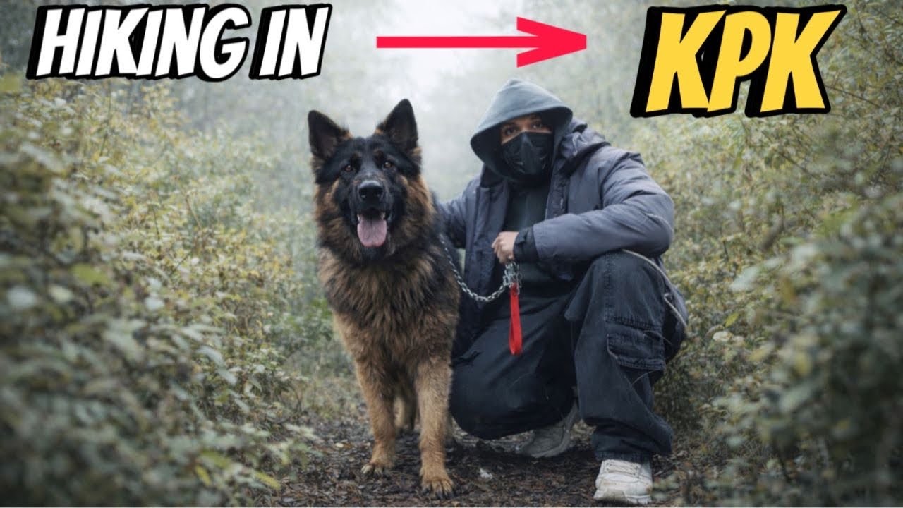 Nature Escape 🌿 Darya Kinare Hiking with Simba🦮