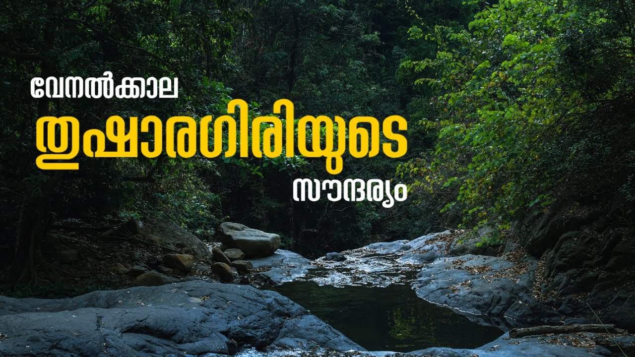 തുഷാരഗിരി വെള്ളച്ചാട്ടവും കാട്ടിലൂടെയുള്ള നടത്തവും. #thusharagiri #kozhikode #waterfalls #forest.