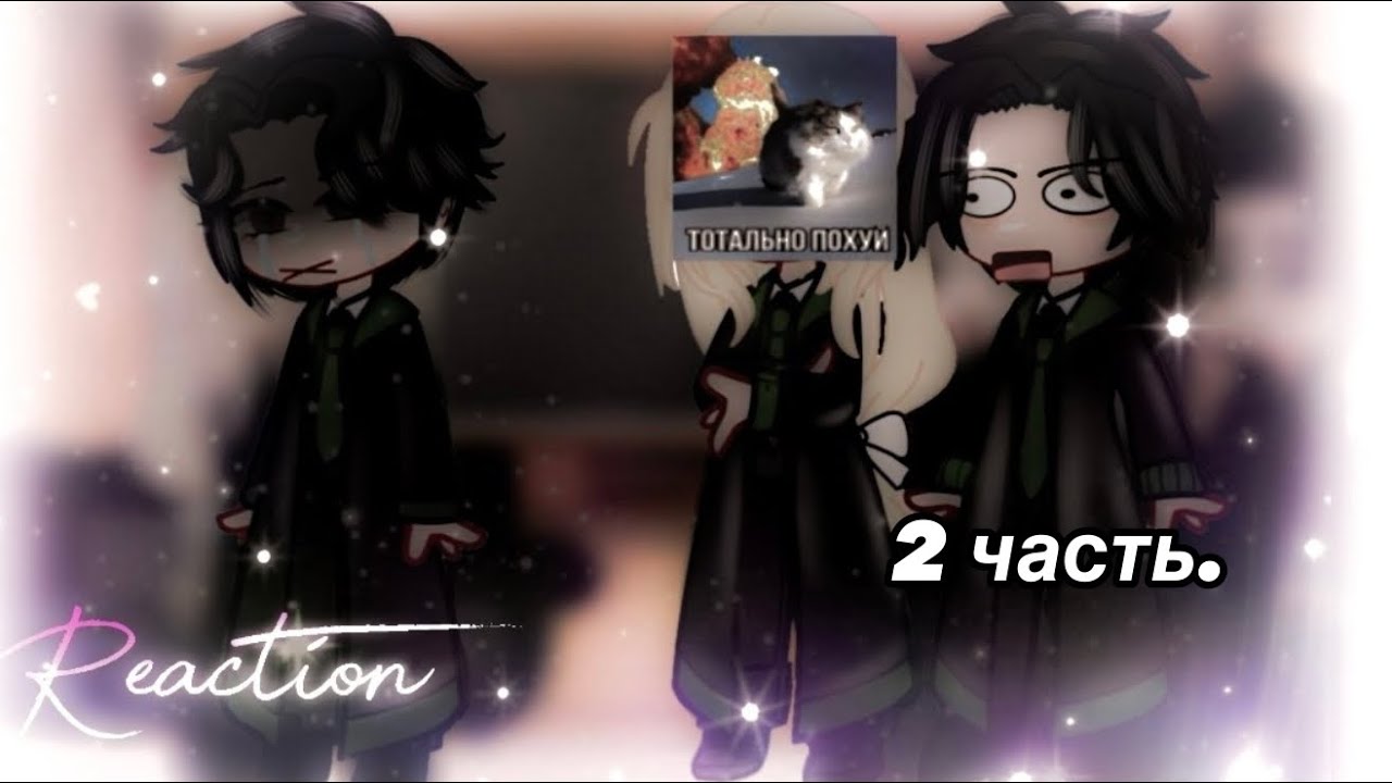 Tom Riddle’s era react to Harry Potter/ time travel AU/2X/Part 2