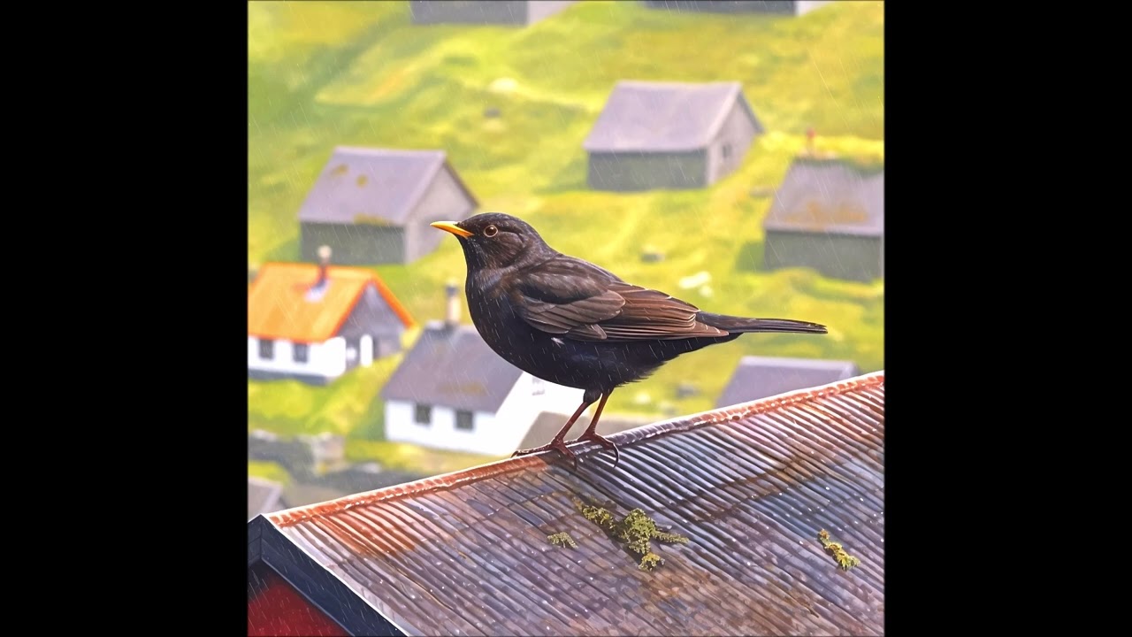 Kvørkveggjulátur