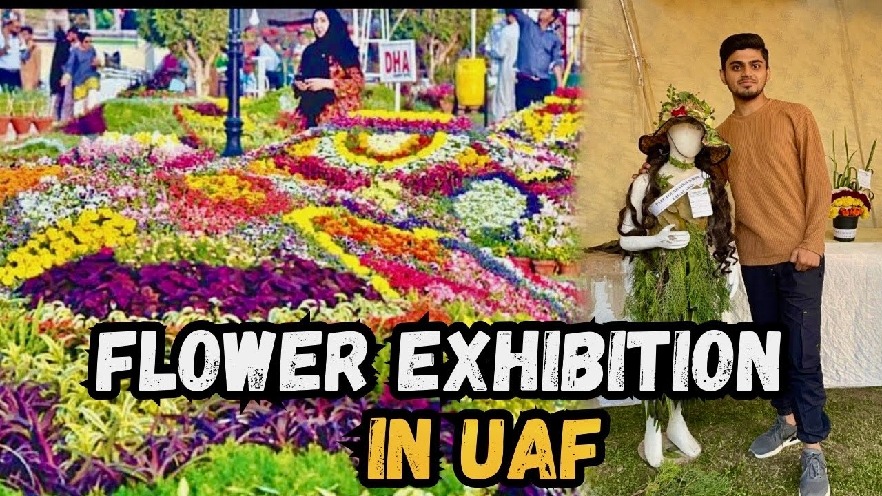 Flower Show In University Of Agriculture Faisalabad|Crysanthemum Exhibition|Vlog#177