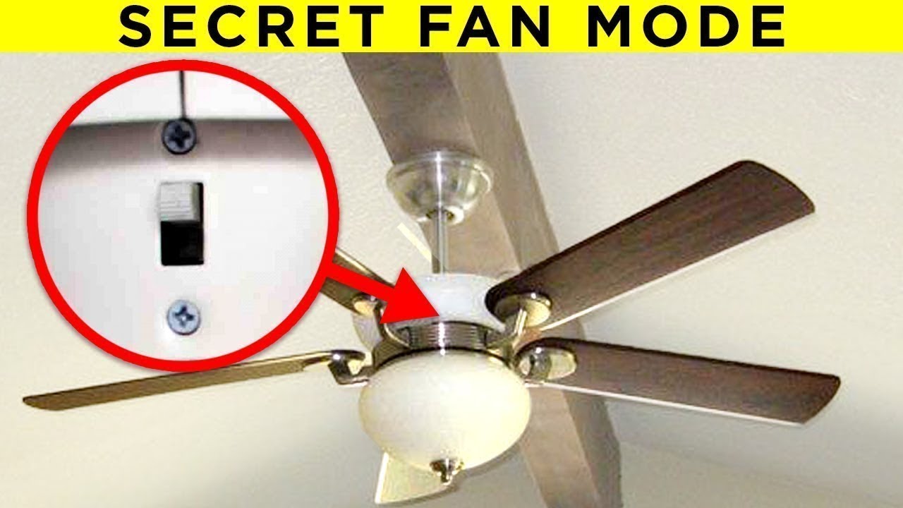 Amazing Secrets Hidden in Everyday Things - Part 4