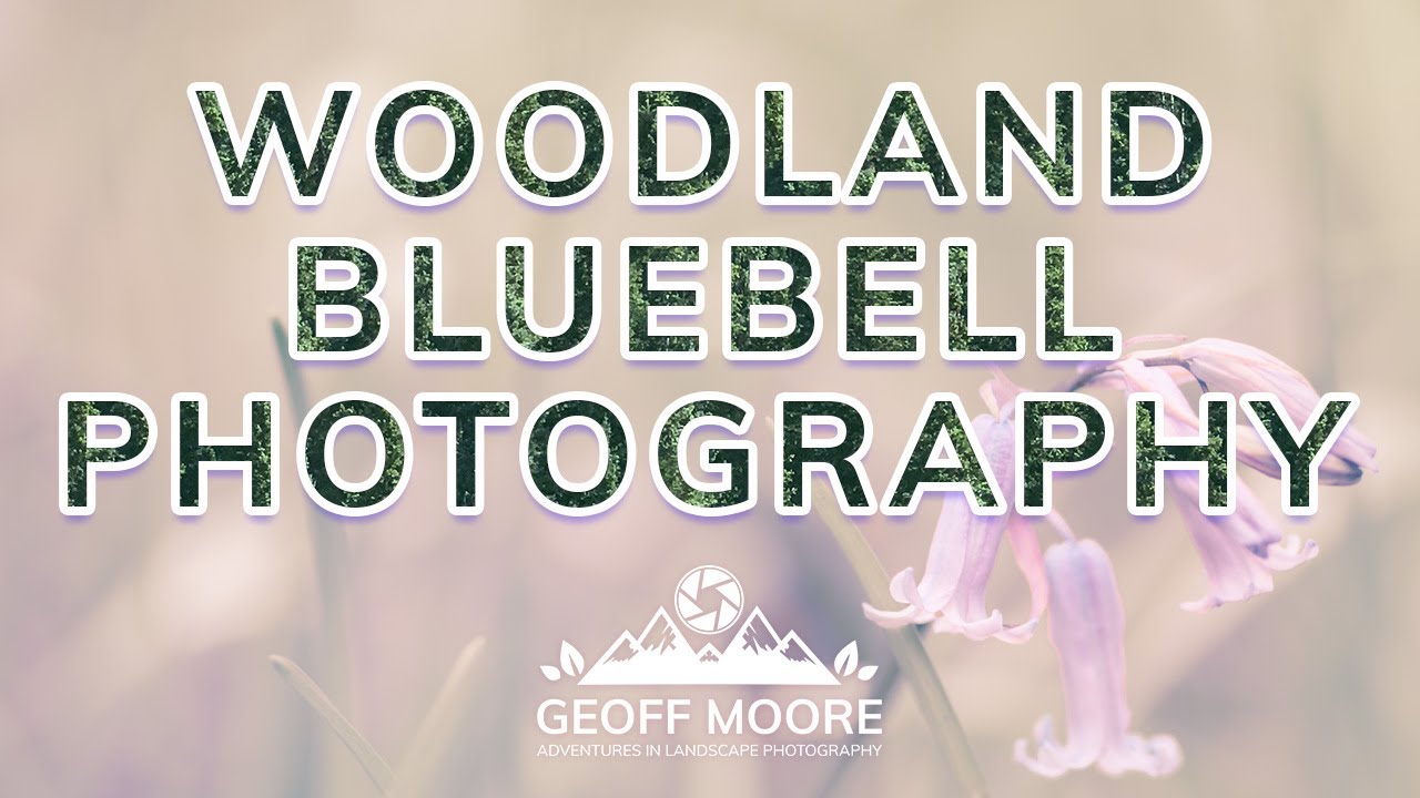 Woodland Bluebell Photography |  Bluebell Macro Photos | Samyang 135mm | Geoff Moore Photography