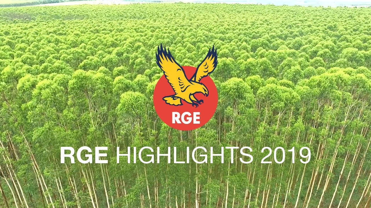 RGE 2019 Highlights