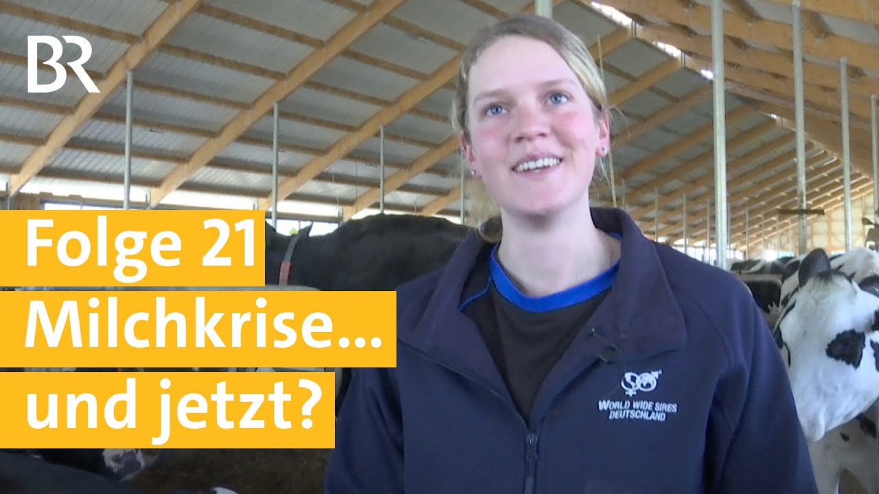 Stallgeschichten Folge 21: Durch die Milchkrise mit 580 K&uuml;hen im neuen Kuhstall | Unser Land | BR