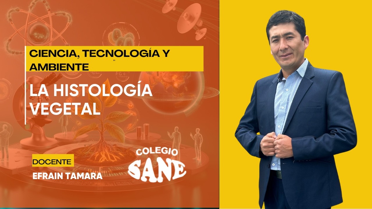 CTA / HISTOLOGÍA VEGETAL 2º II BIM / 22 - 02