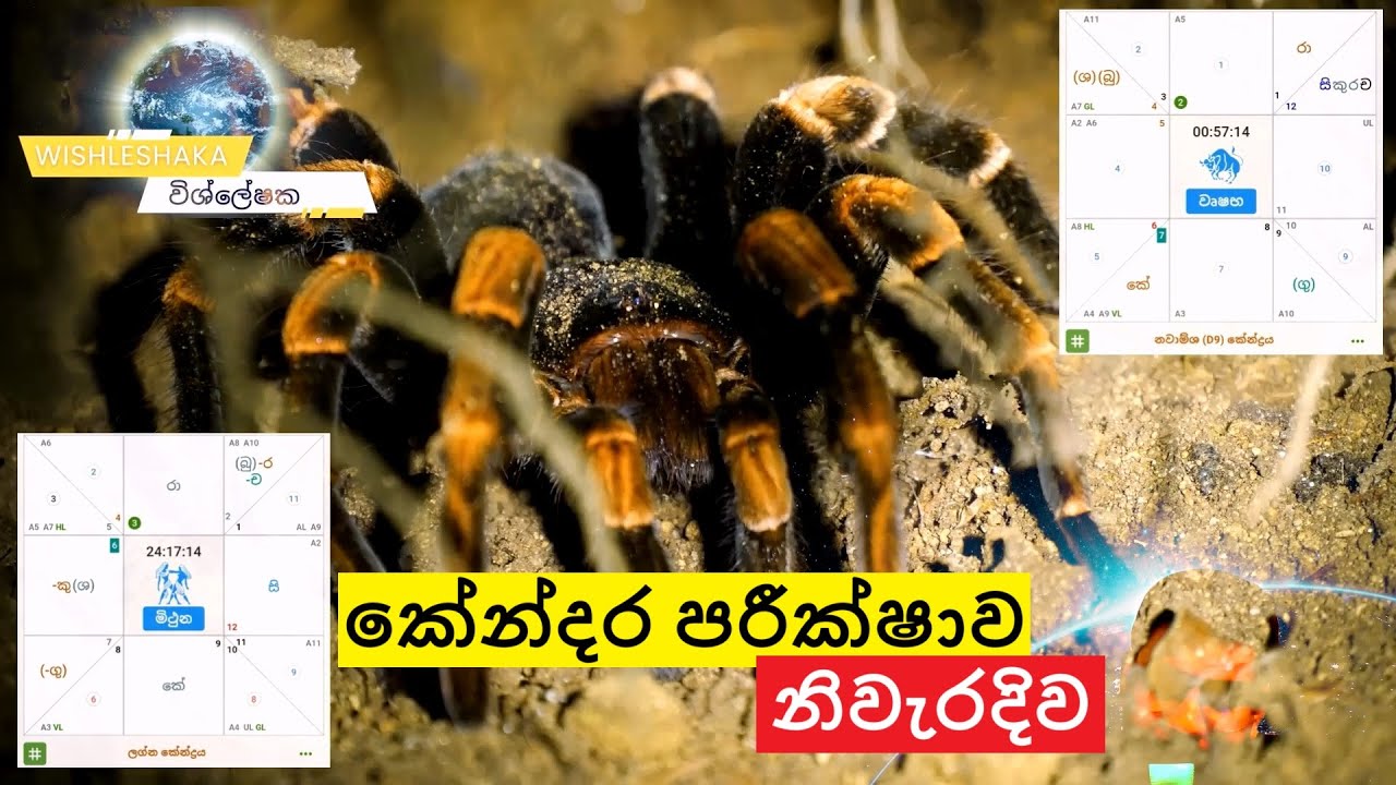 කේන්දර පරීක්ෂාව නිවැරදිව විශ්ලේෂක Wishleshaka හදහන 2ක්