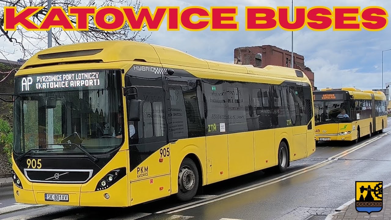 Beautiful yellow KATOWICE 🇵🇱 BUSES - 4K