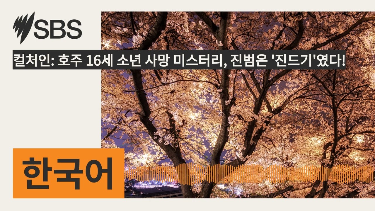 컬처인: 호주 16세 소년 사망 미스터리, 진범은 '진드기'였다! | SBS Korean - SBS 한국어 프로그램