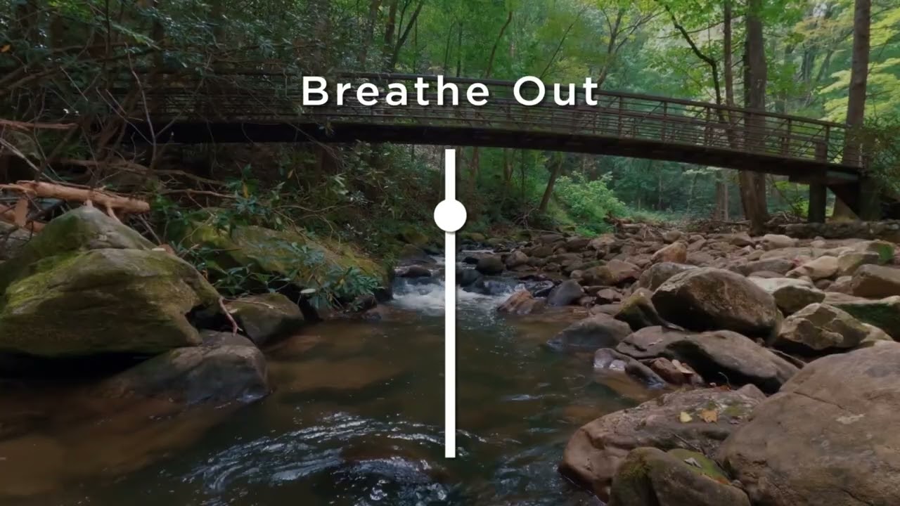 Best Breathwork for Beginners : 4/6 Ratio
