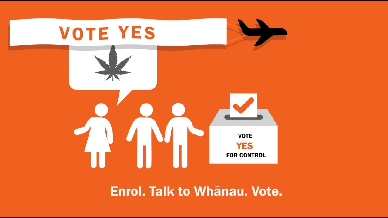 2020 Cannabis Referendum in brief