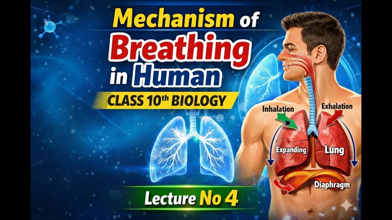 Mechanism of Breathing in Humans | Class 10 Biology | Lecture 4 | Full | Conceptual Science Academy