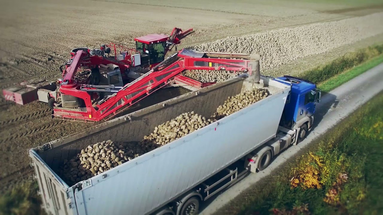 From beet to sugar