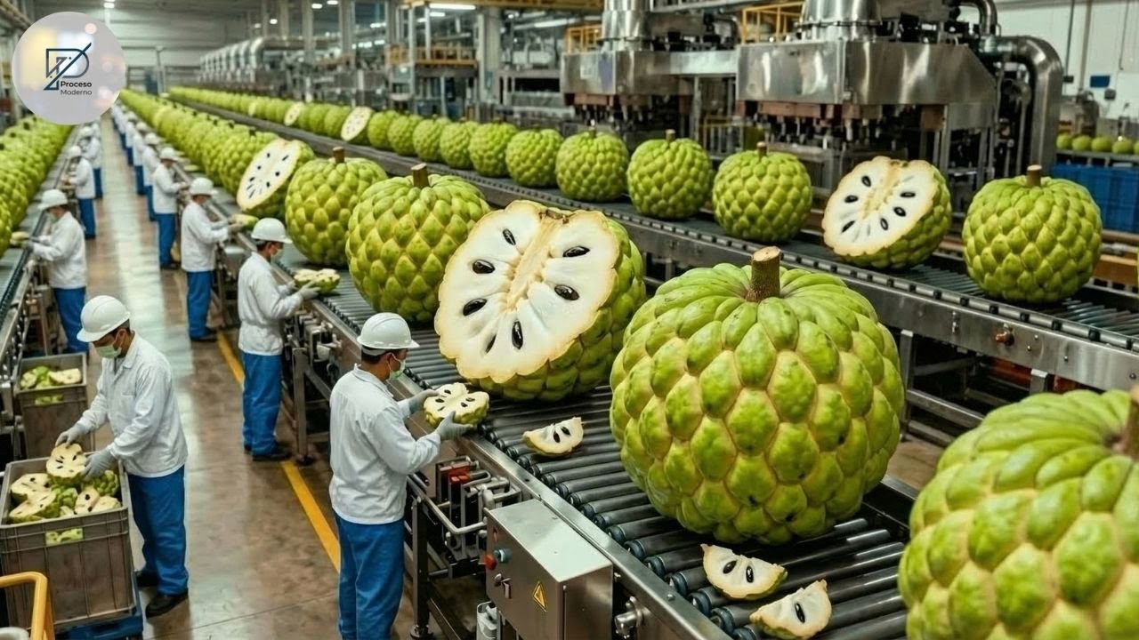 Inside la Fábrica de Chirimoya: Del Fruto Fresco a Postres Irresistibles