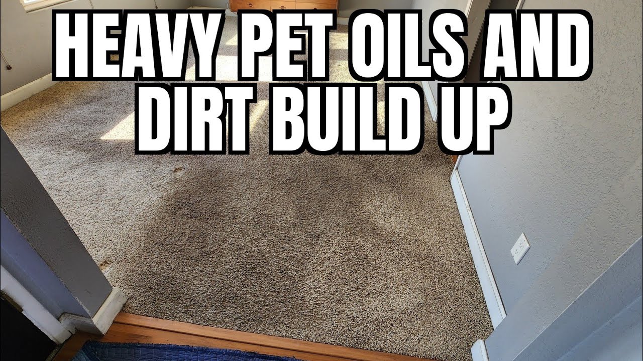 Step by Step Guide to Professionally Clean a Dirty Oily Carpet