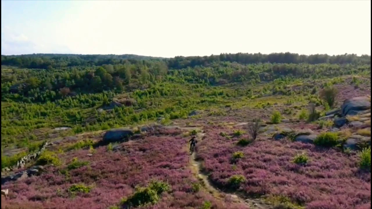 Afternoon trail riding in Sandsj&ouml;backa.
