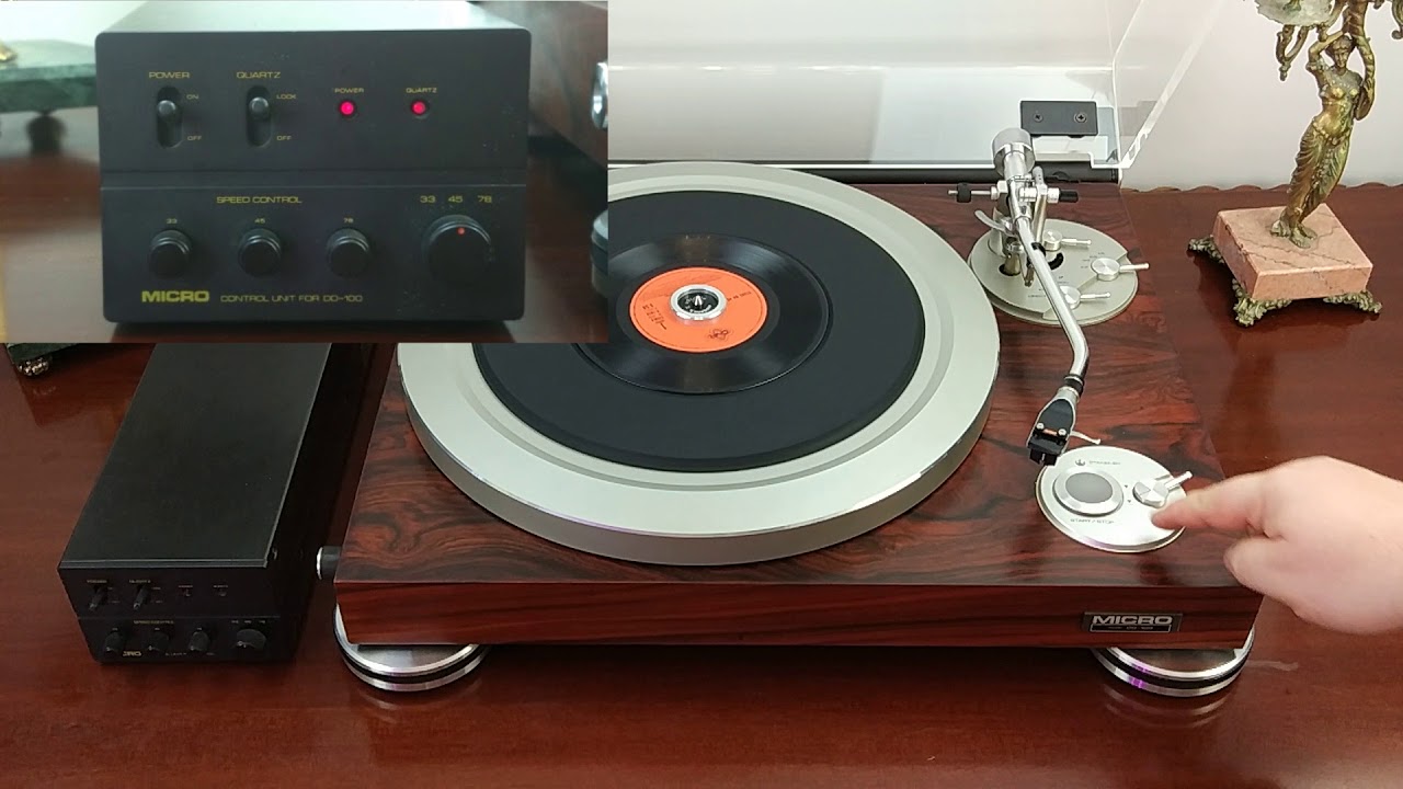 Micro Seiki DD 100