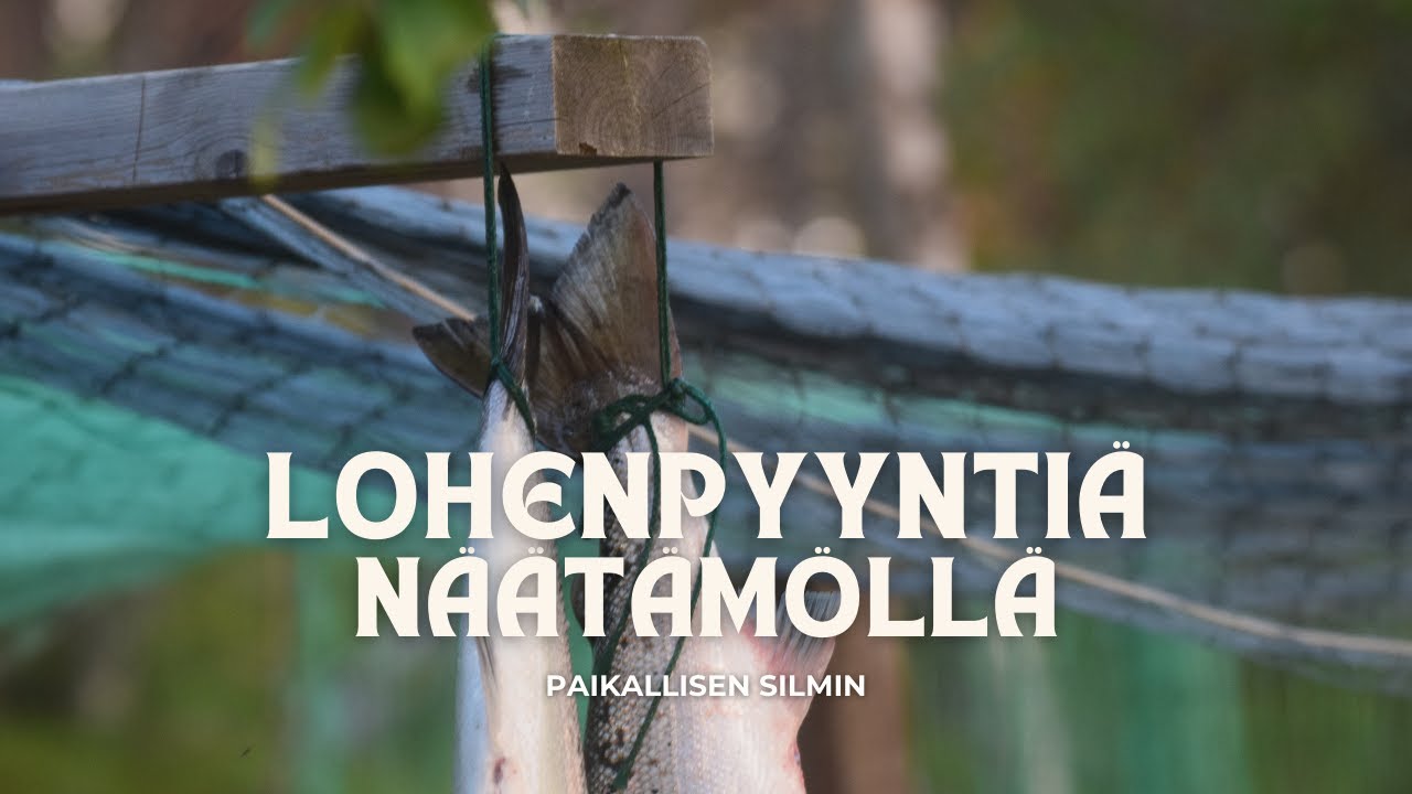 Lohenpyynti&auml; N&auml;&auml;t&auml;m&ouml;ll&auml; 2025