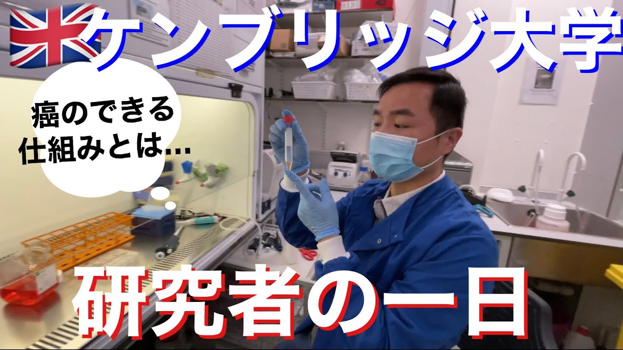 ケンブリッジ大学 バイオ研究者の１日【ラボで実験・イギリス生活・ガーデニング】