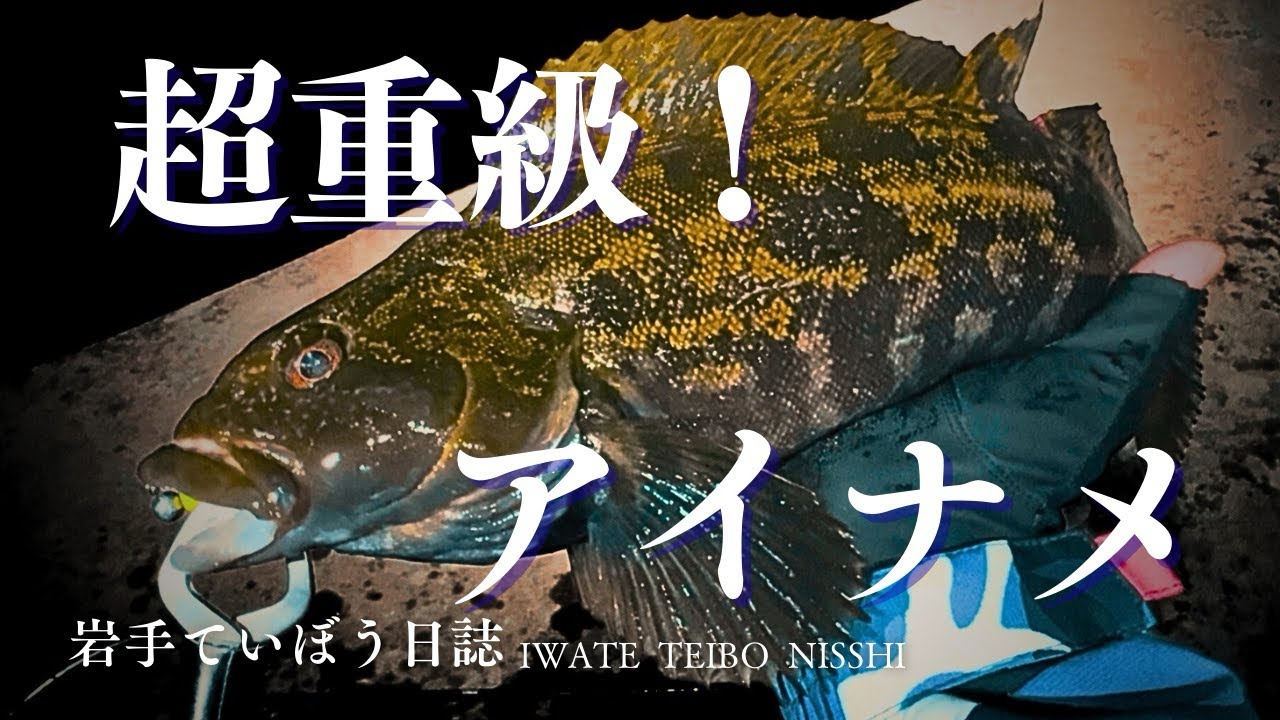 【陸前高田市】強襲！冬のナイトロックで巨大アイナメ降臨！　中層を攻略するデスアダー3インチ