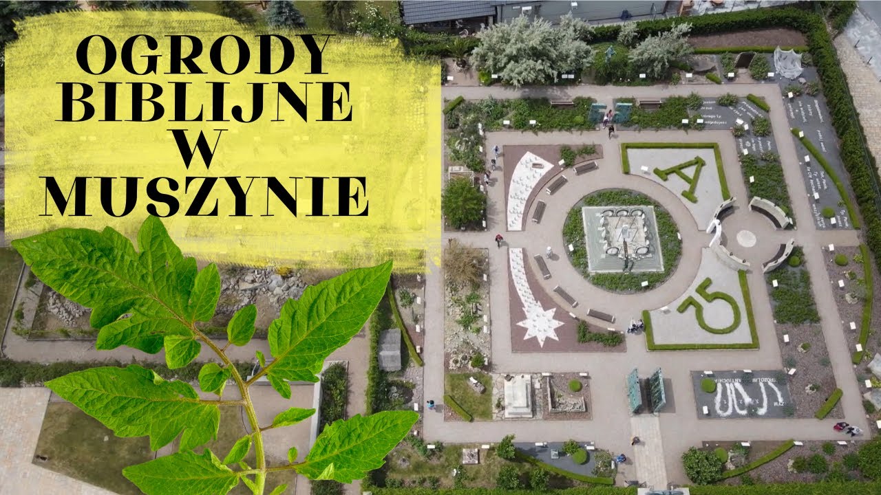 🇵🇱 OGRÓD BIBLIJNY W MUSZYNIE #podróże #zwiedzanie #polska #ogrody