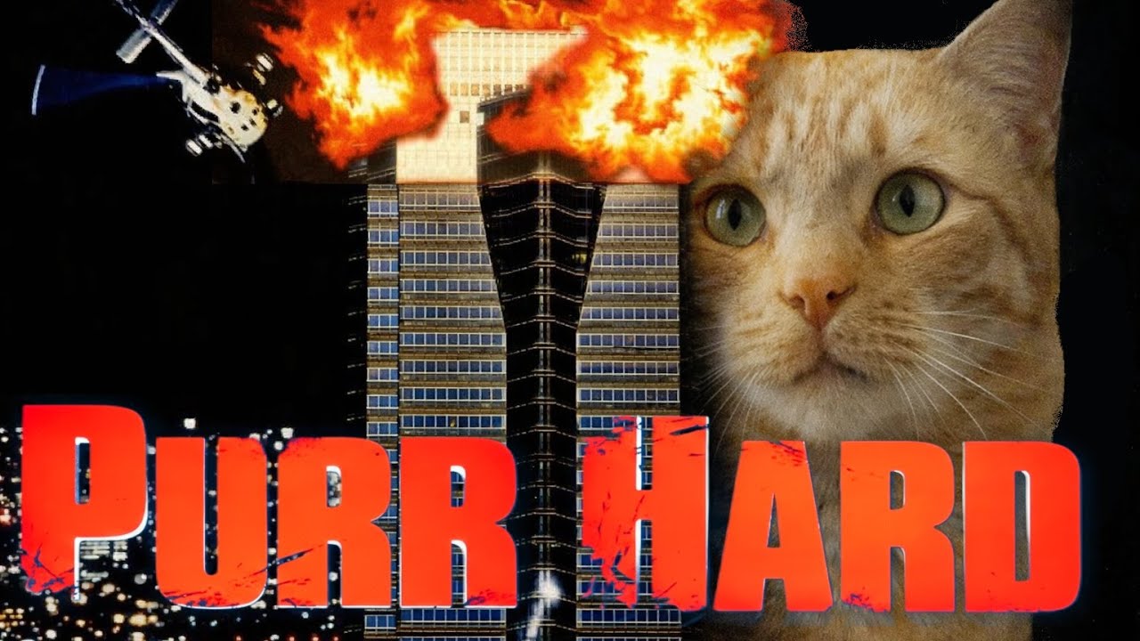 😸Мурлыкаю от души 🐈🐕 Крепкий орешек с моими питомцами