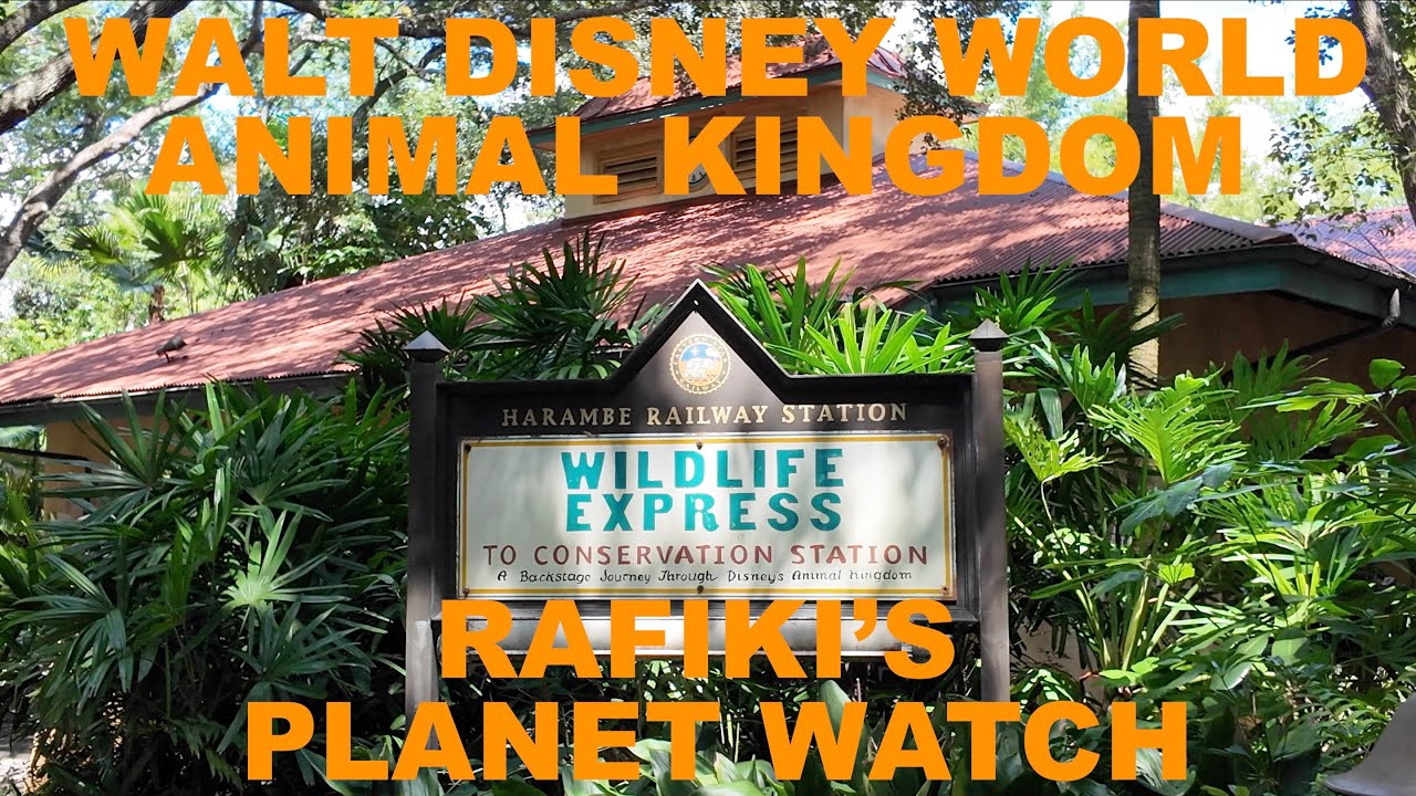Walt Disney World | Animal Kingdom | Rafiki's Planet Watch