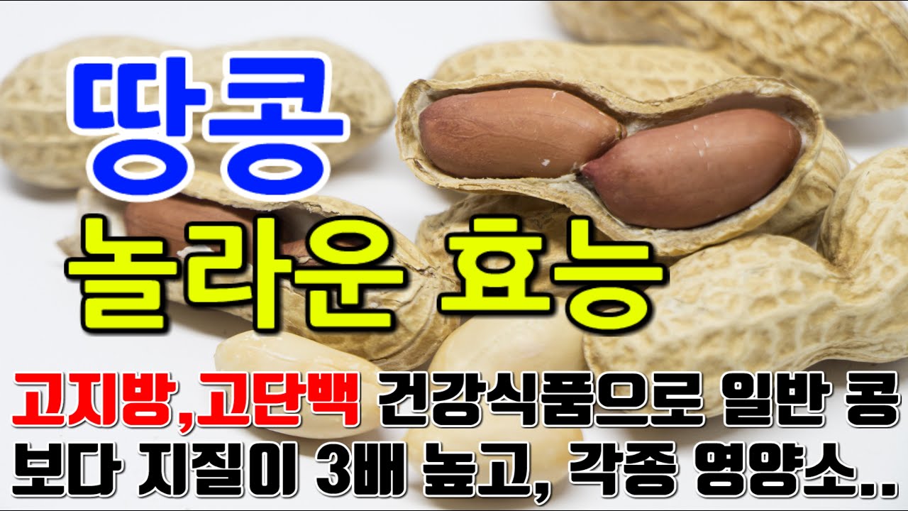 땅콩의 놀라운 효능 8가지 & 부작용 / 