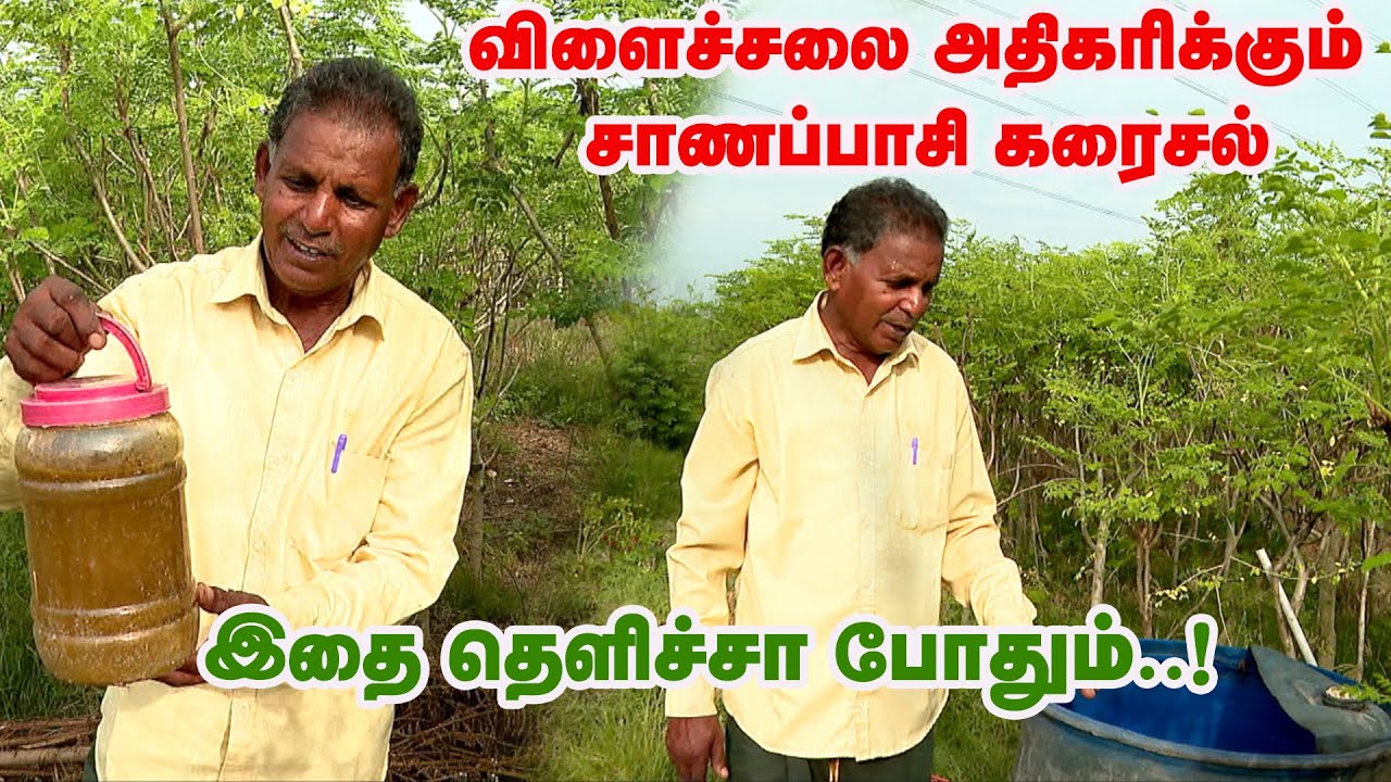 விளைச்சலை அதிகரிக்கும் சாணப்பாசி கரைசல்...IMO கரைசல் செய்வது எப்படி.? | Organic Farming
