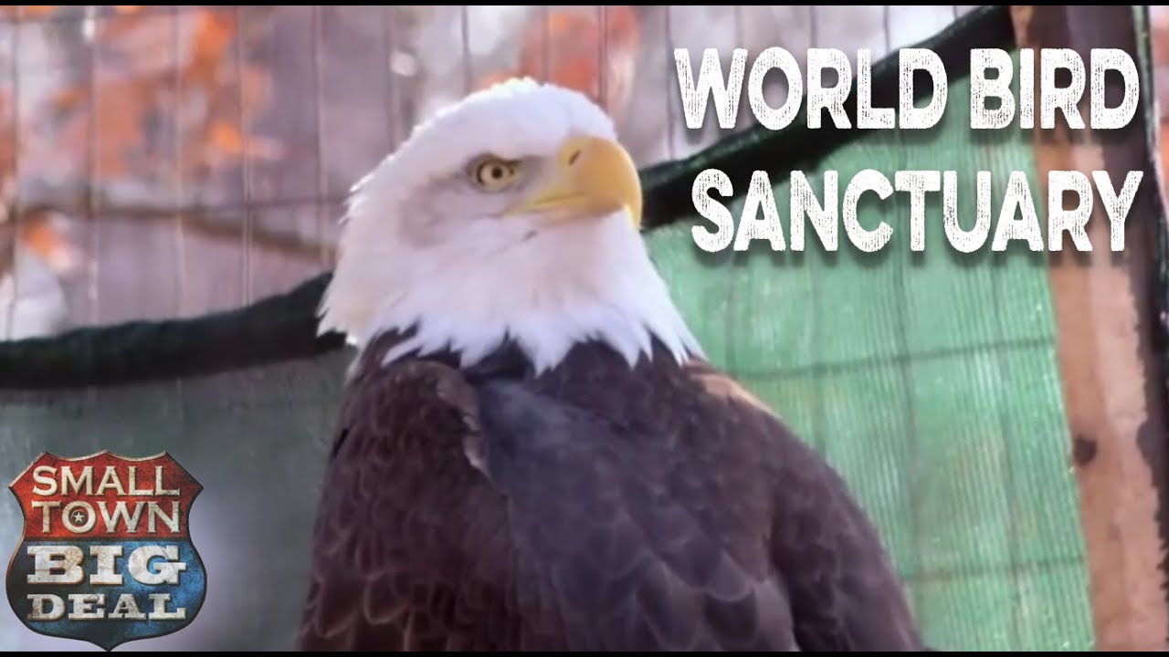 World Bird Sanctuary