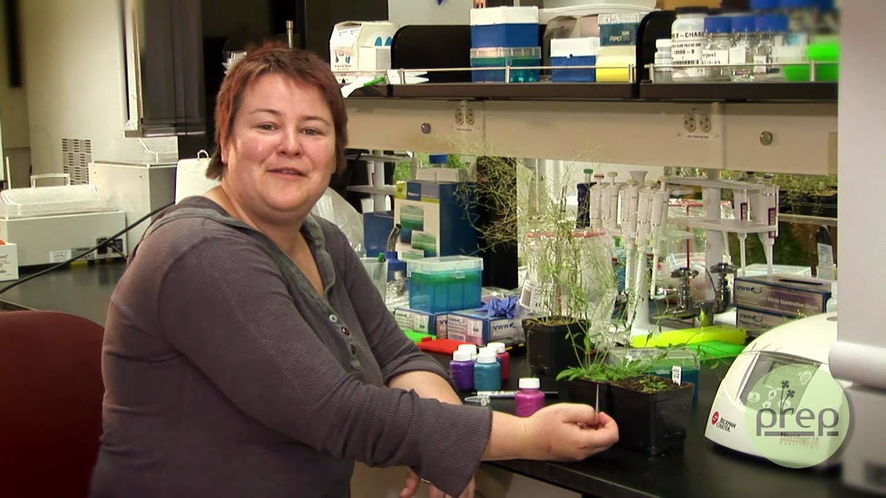 Marking Arabidopsis