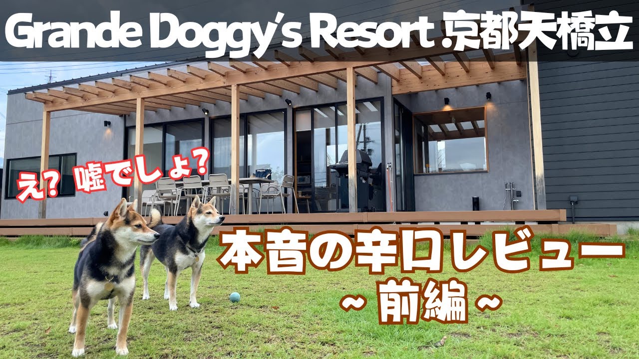 リピートなし！この宿にはもう泊まりません（グランデドギーズリゾート天橋立）