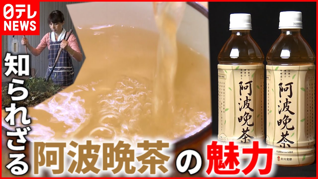【阿波晩茶】乳酸発酵させるお茶⁉︎  伝統製法で作られるその味は？　徳島　NNNセレクション