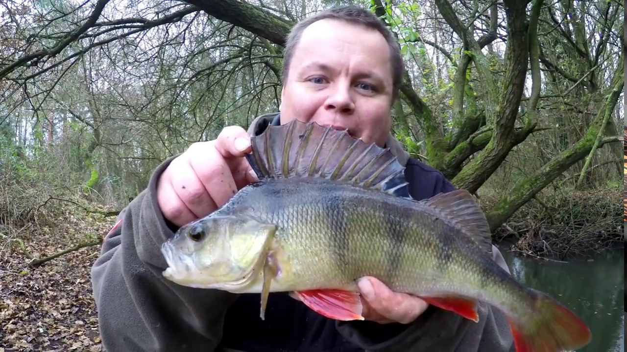 Float Fishing - Stick Float & Centre Pin (Video 101)