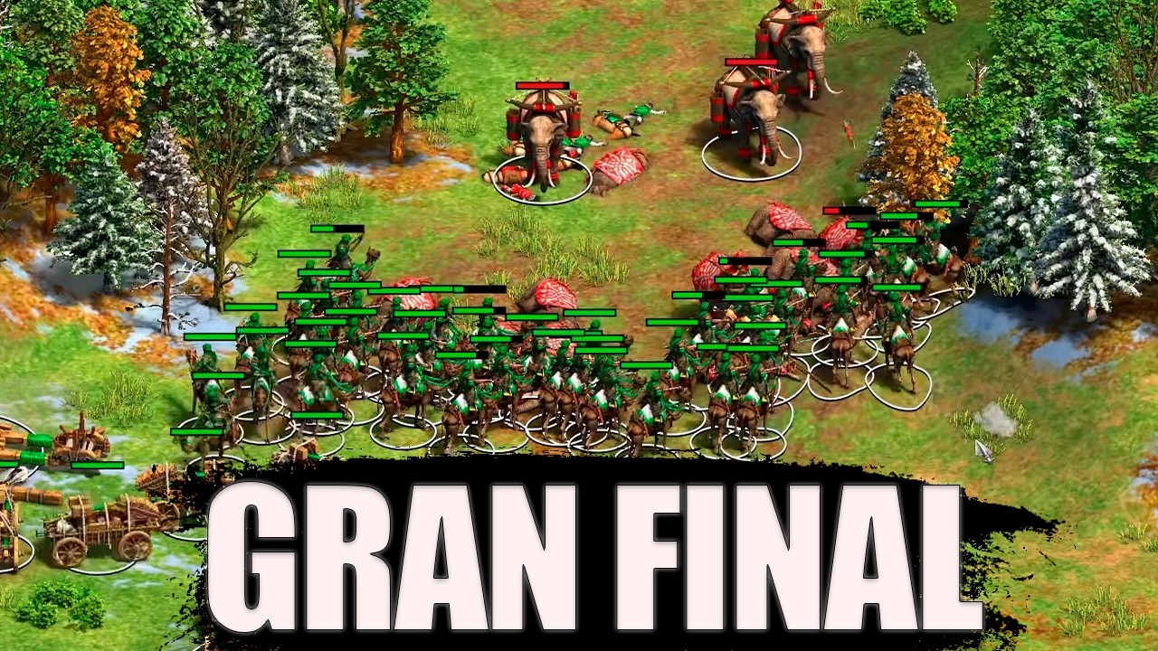 GRAN FINAL TORNEO TODOS CONTRA TODOS AOE II