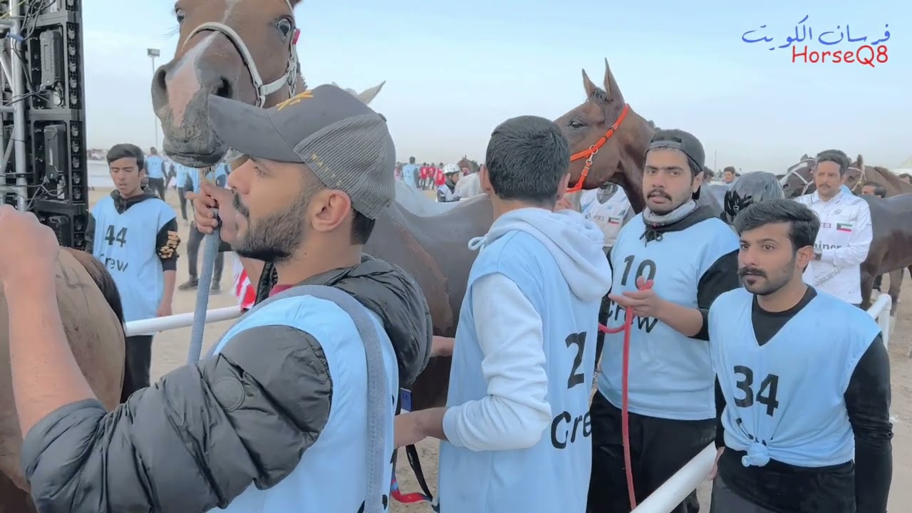كأس العيد الوطني للقدره والتحمل 2023/2022