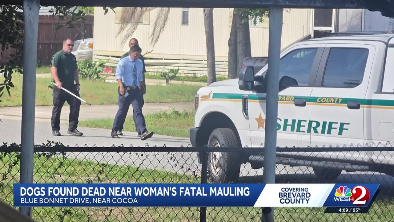 3 dogs found dead at Brevard home of woman mauled by neighbor's dogs