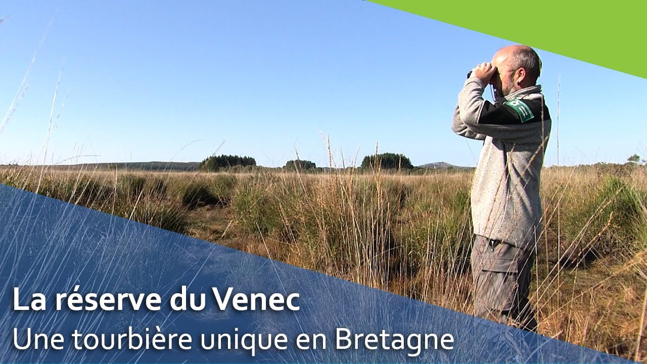 La réserve naturelle du Venec