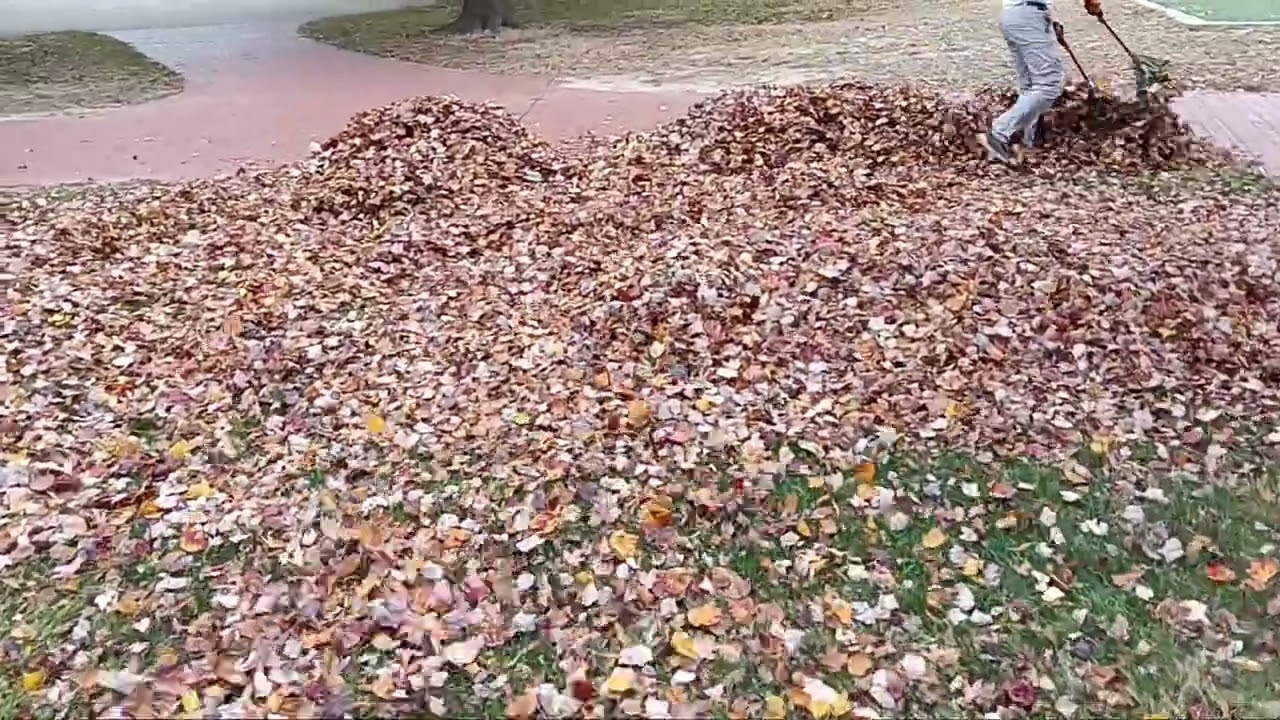 2 rake method for leaf pushing Nov 3 2025
