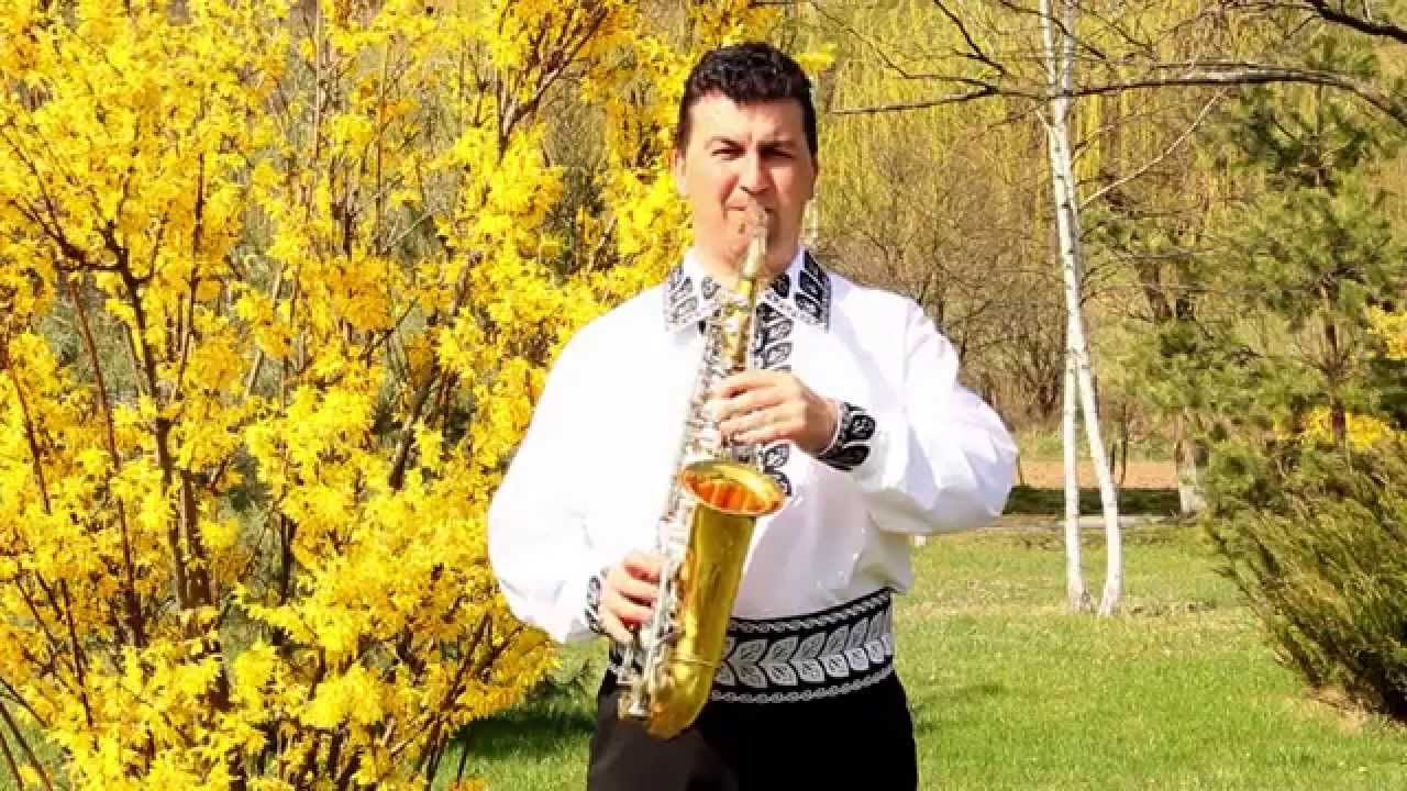 DECEBAL POSTEIU - HATEGANA