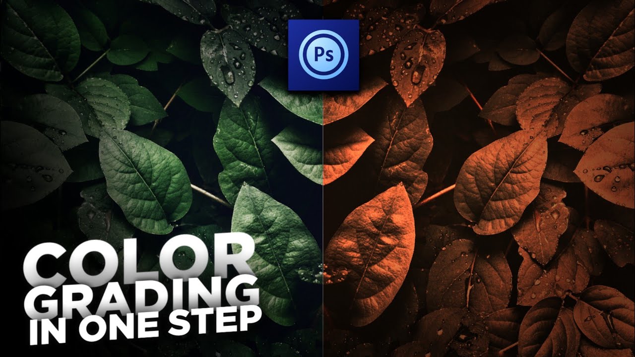 Color Grading in just One Step in Android using Ps-touch || By Drager