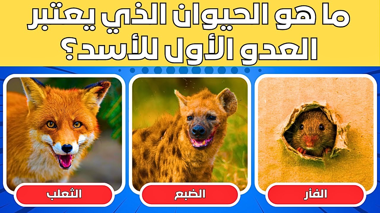 ألغاز الحيوانات / الأذكياء وحدهم من يستطيعون حلها